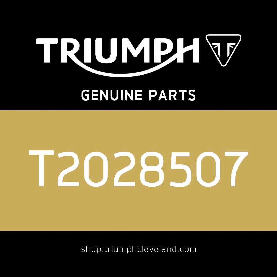 Triumph OEM Rear Brake Hose Assembly - T2028507