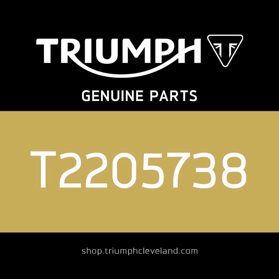 Triumph OEM Airbox Cover Panel, RHS, Mldg - T2205738