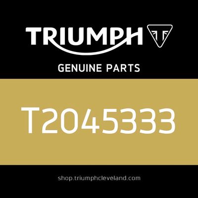 Triumph OEM O Ring - T2045333