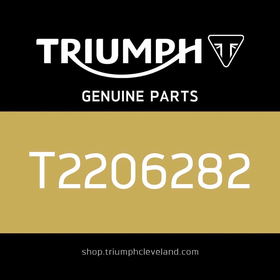 Triumph OEM Strap, Rubber, Air Filter - T2206282
