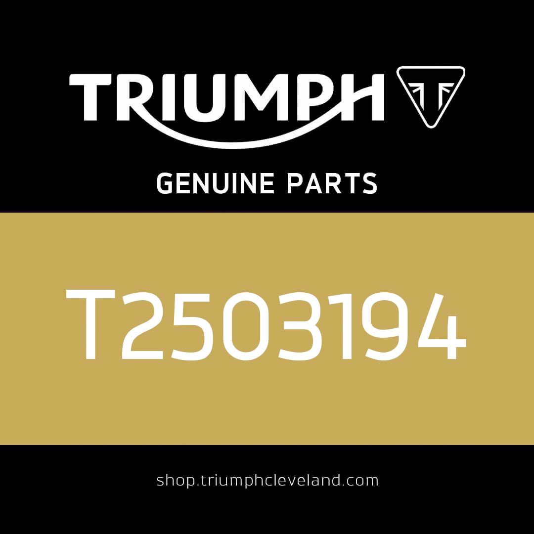 Triumph OEM Hour Meter, 50 x 30 - T2503194