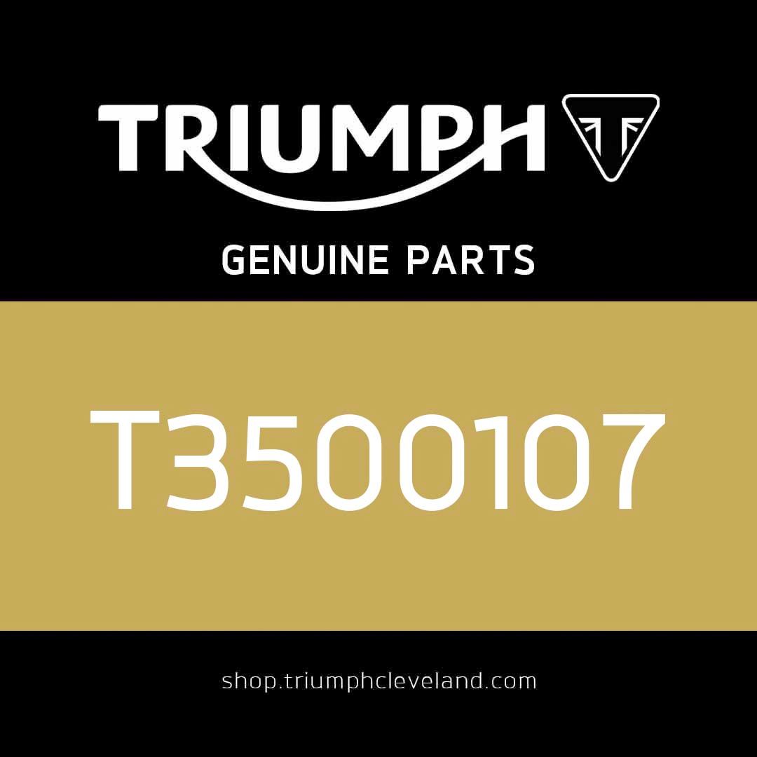 Triumph OEM Circlip, E-Type, 6 x 0.7 - T3500107