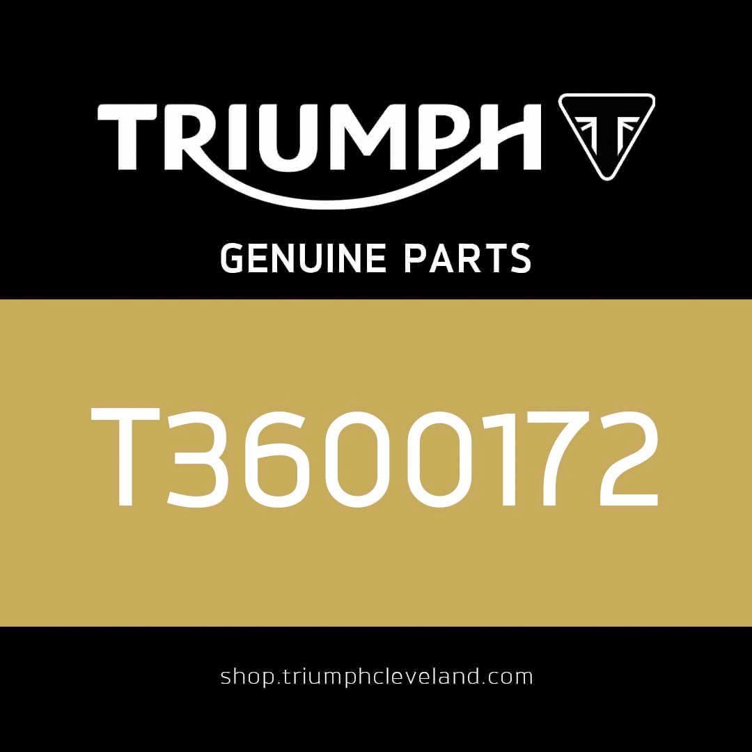 Triumph OEM O Ring - T3600172