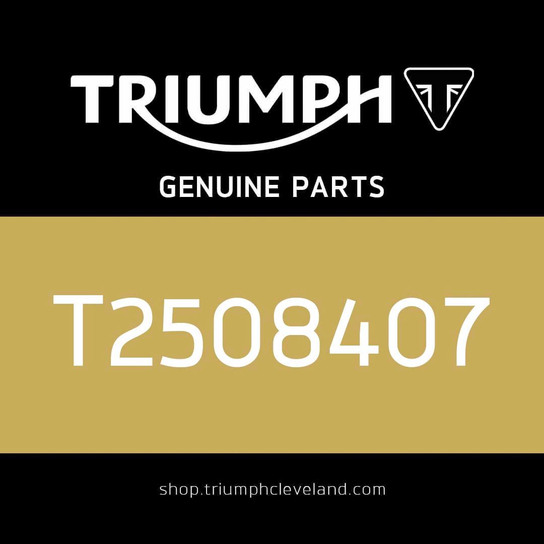 Triumph OEM Switchcube, RH - T2508407