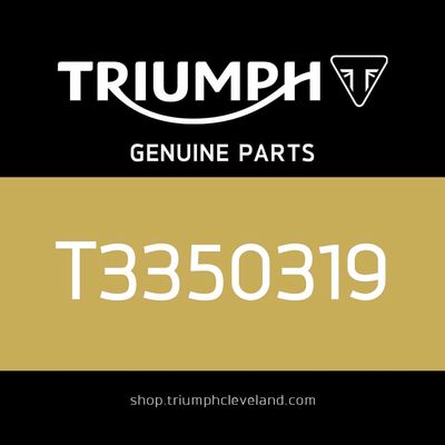 Triumph OEM Washer, CU, 24 x 28 x 2.4 - T3350319