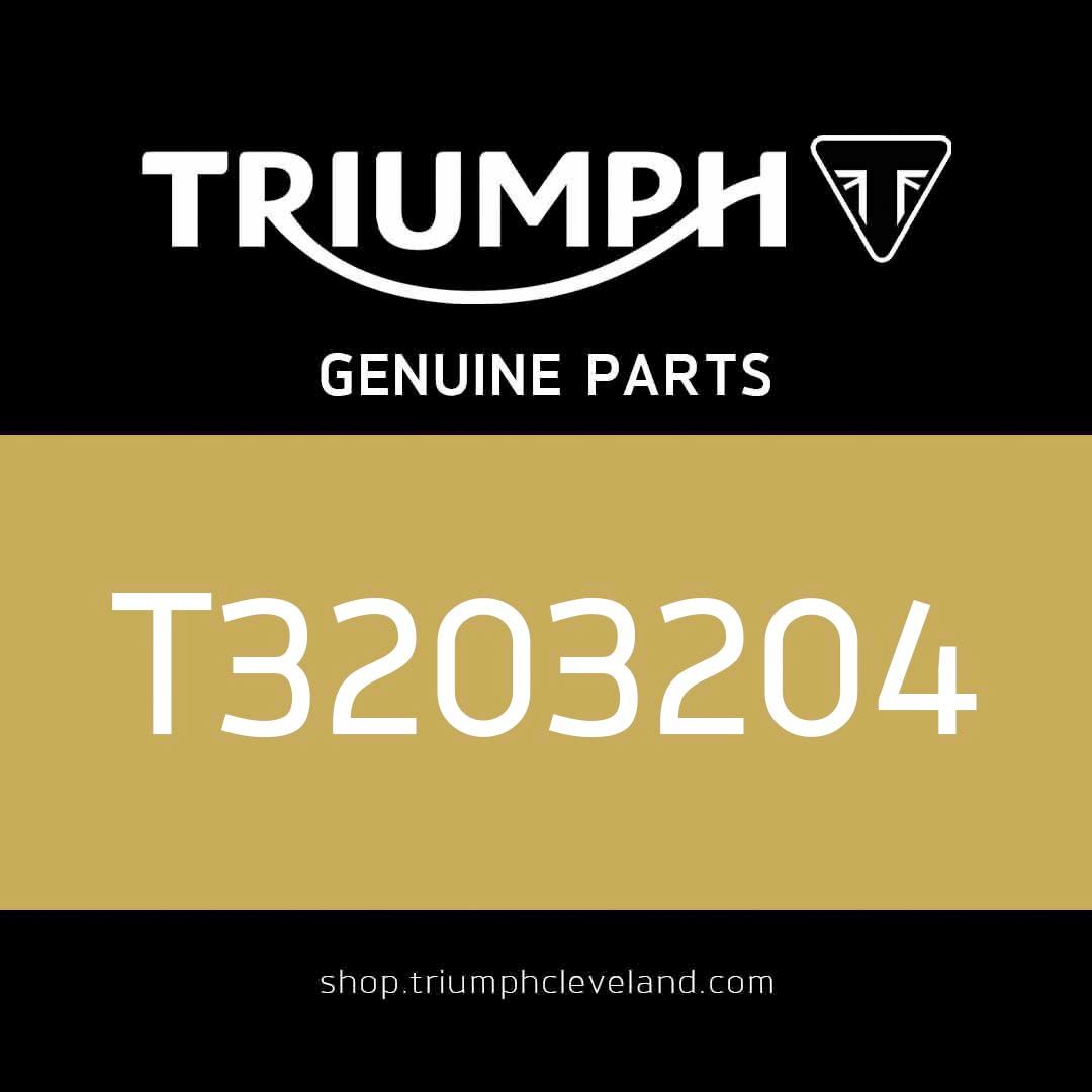 Triumph OEM Screw, H/Hd, M8 x 55, Slv - T3203204