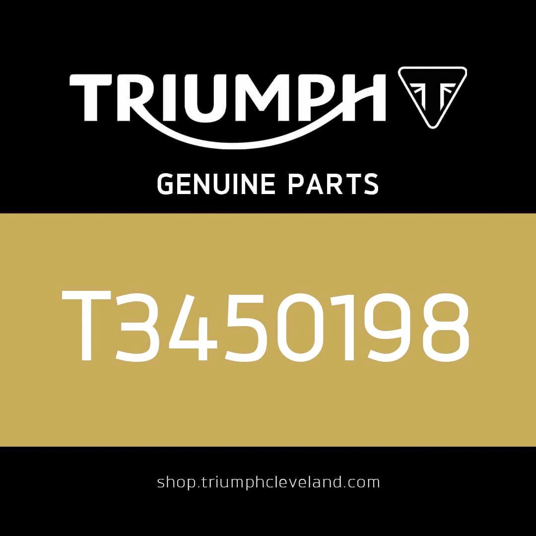 Triumph OEM Plug, M10 x 6 - T3450198