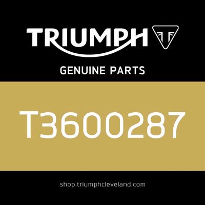 Triumph OEM O Ring, 30 x 2.5 - T3600287