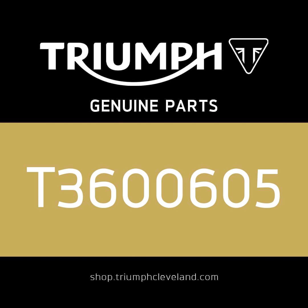 Triumph OEM O Ring, ID 20.5 x 3.53 - T3600605