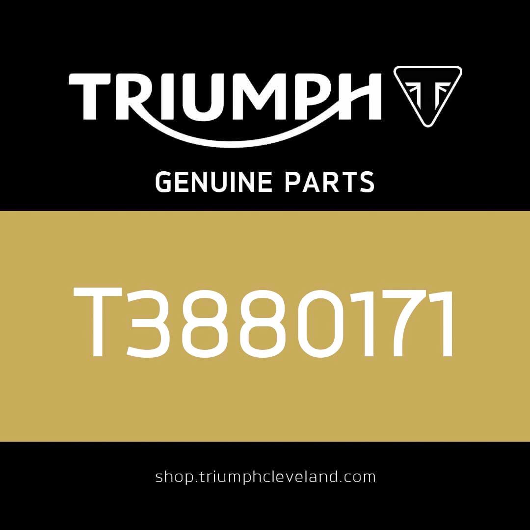 Triumph OEM Fork Holding Tool - T3880171
