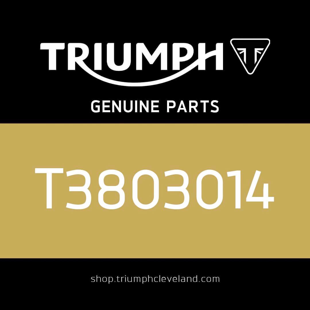 Triumph OEM Bearing, Needle Roller, 22 x 28 x 12 - T3803014
