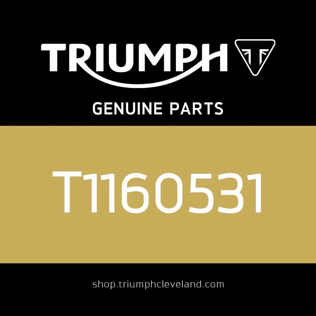 Triumph OEM Crankcase Assembly, Spares - T1160531