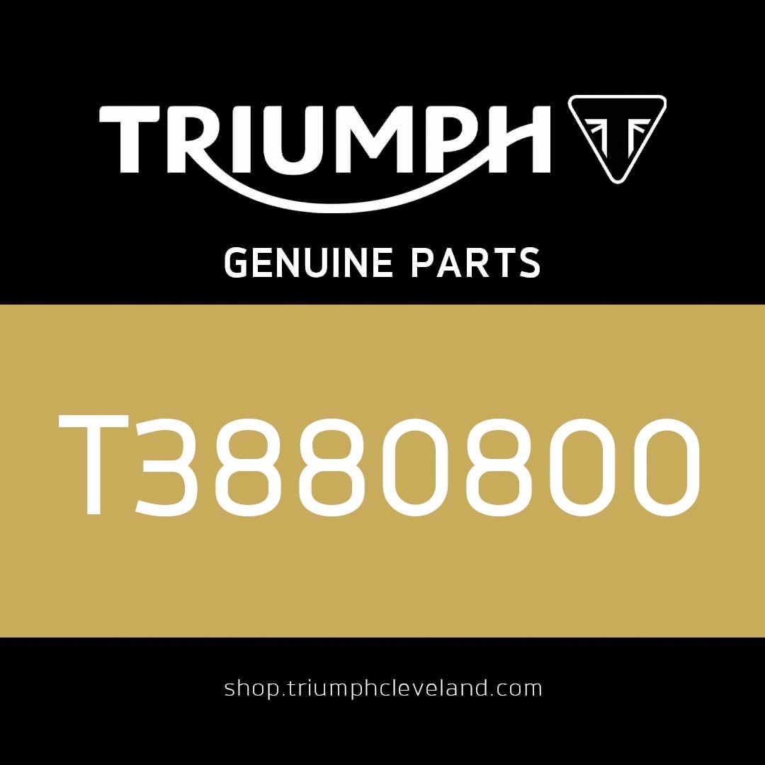 Triumph OEM Octagonal Spanner, 49mm - T3880800