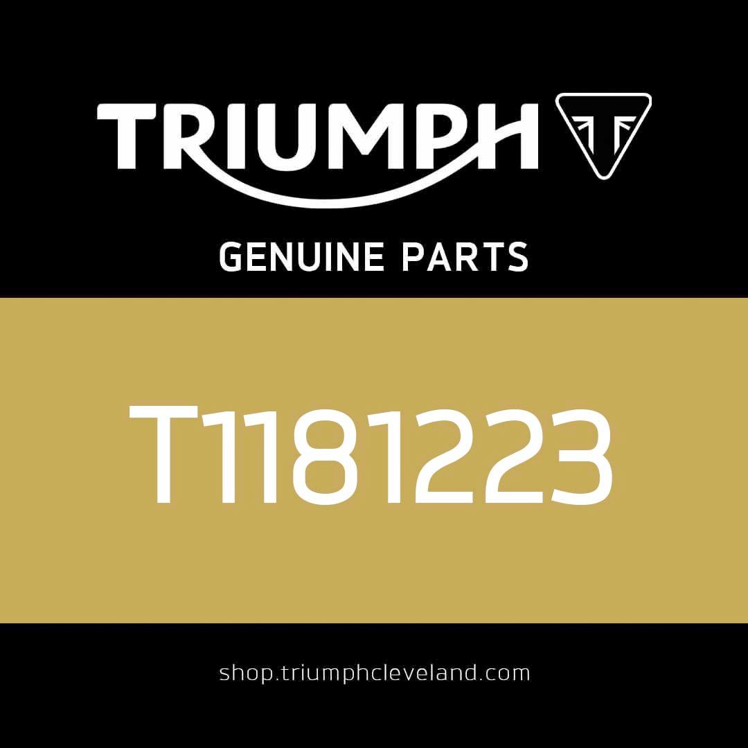 Triumph OEM Input Shaft Assembly, 5 Speed - T1181223