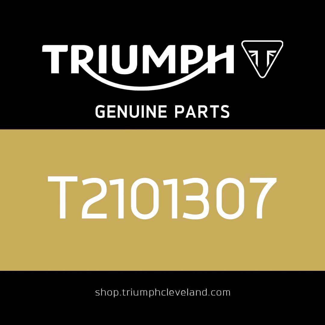 Triumph OEM Gasket, Water Pump - T2101307