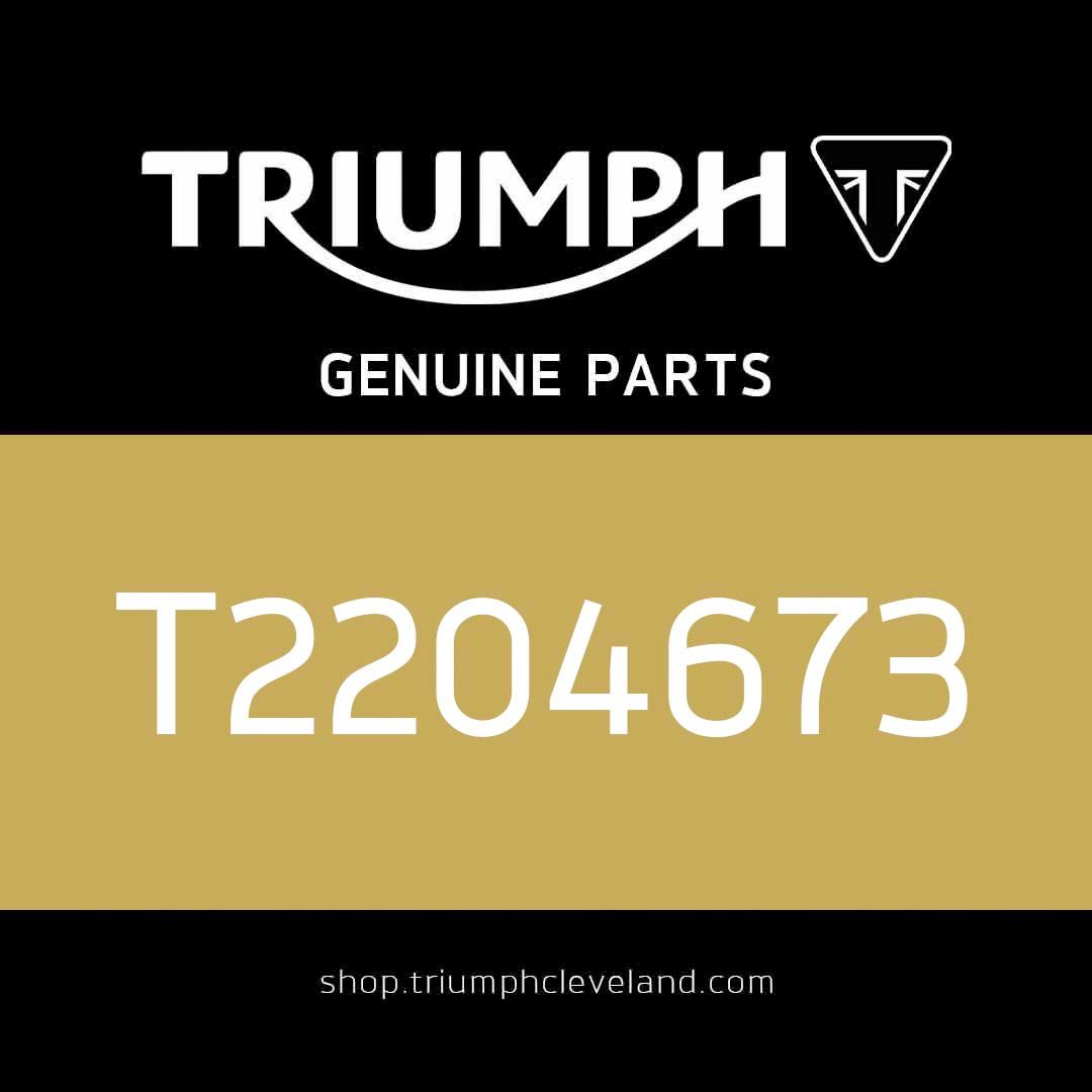 Triumph OEM Airbox, Rear - T2204673