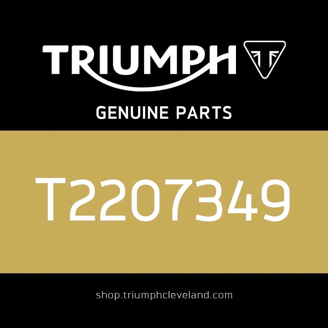 Triumph OEM Infill, Rubber - T2207349