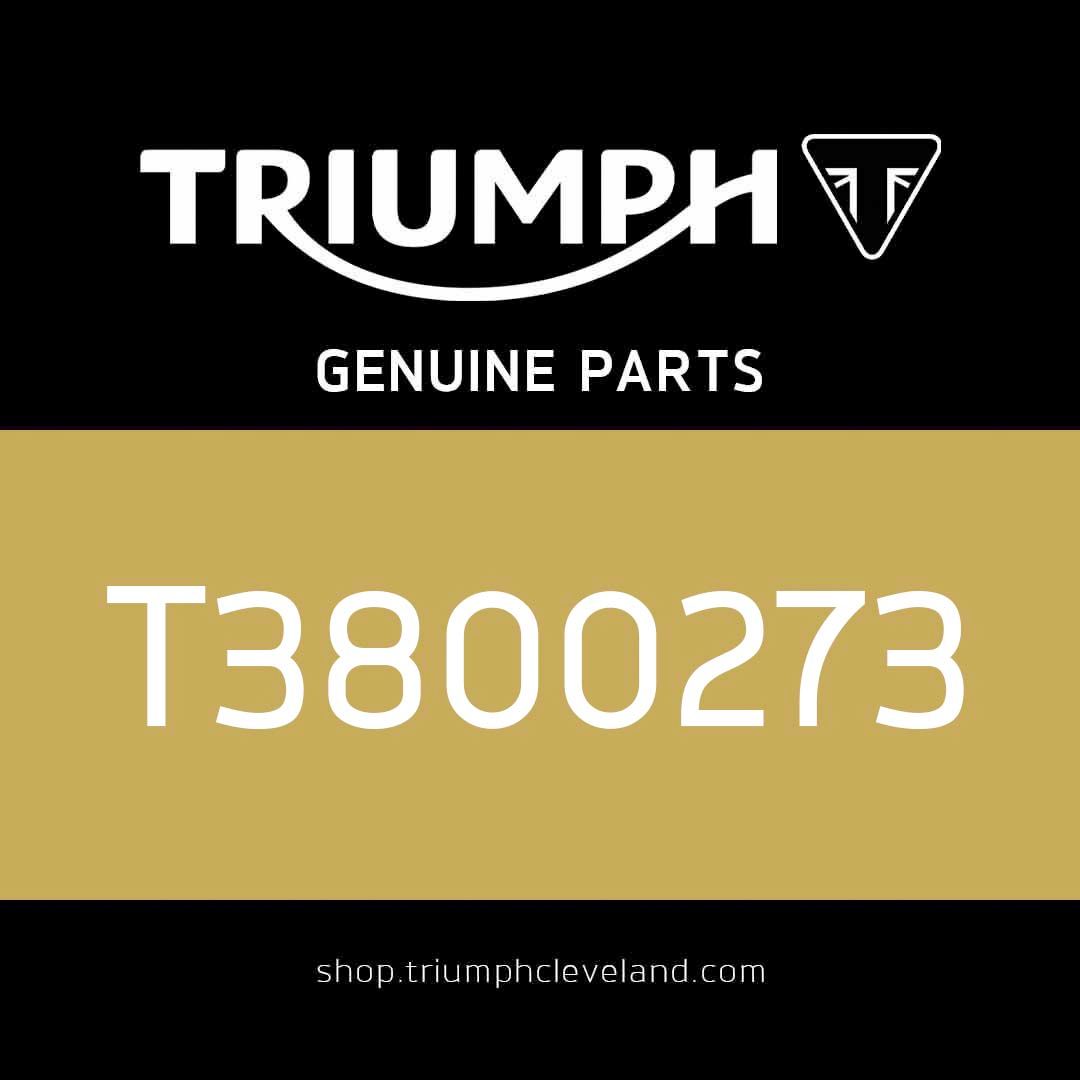 Triumph OEM Ball Bearing, 6203JR2C3, 17 x 40 x 12 - T3800273