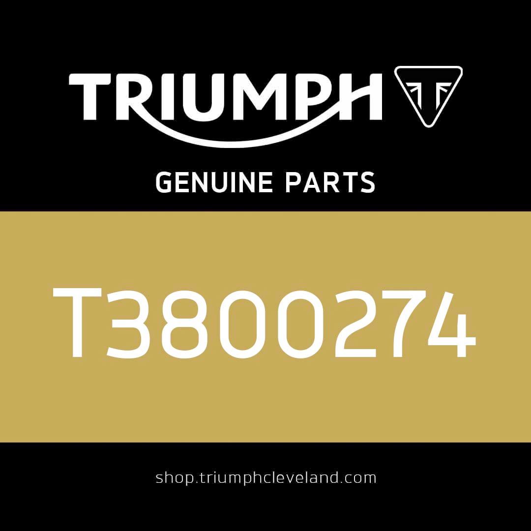 Triumph OEM Cyl Bearing, NJ205, 25 x 52 x 15 - T3800274