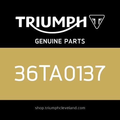 Triumph OEM Scrambler 400 X Chain &amp; Sprocket Kit - 36TA0137