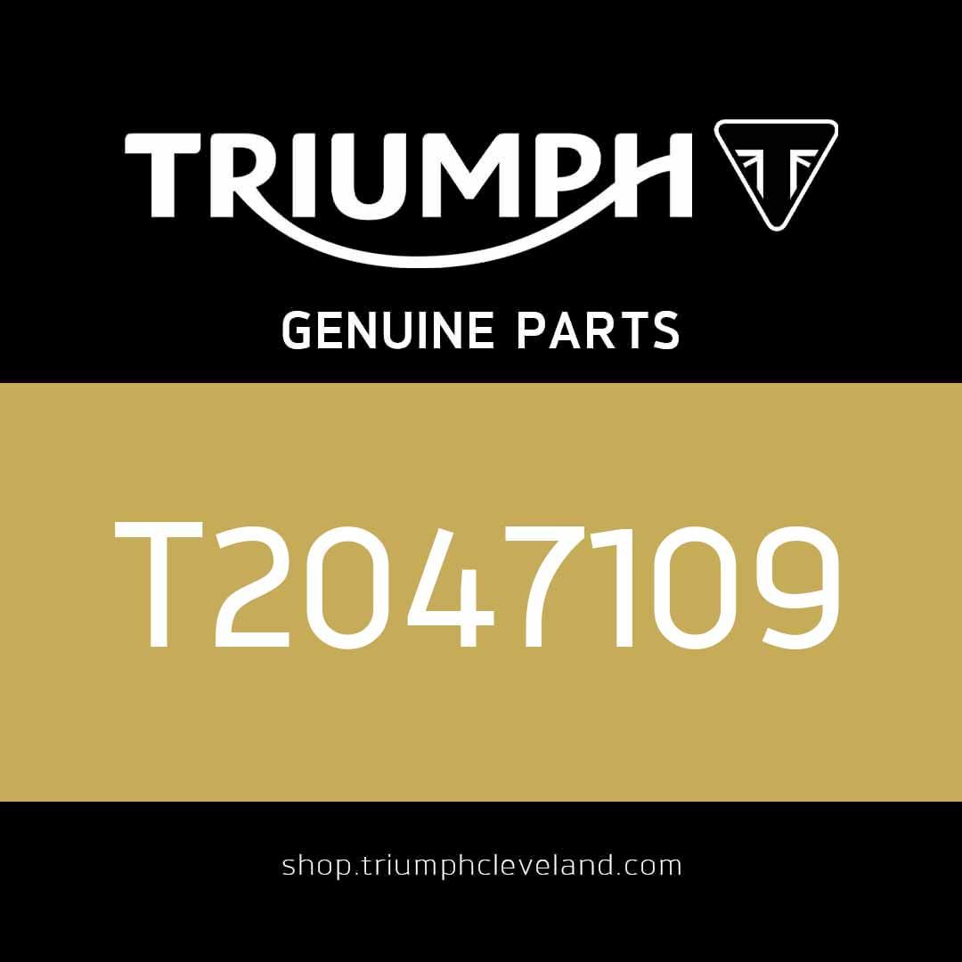 Triumph OEM Fork Dust Seal - T2047109