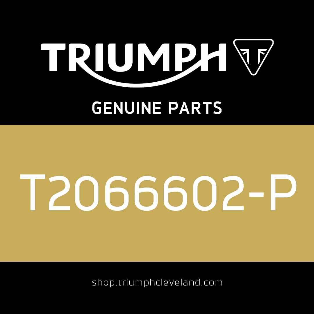 Triumph OEM Bar Mirror Assembly - T2066602-P