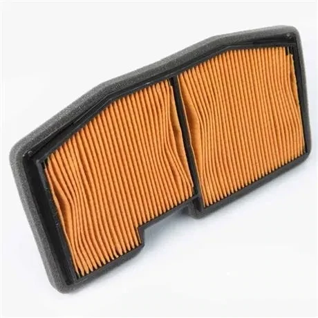 Triumph Daytona 675 R Street Triple R Air Filter - T2200987