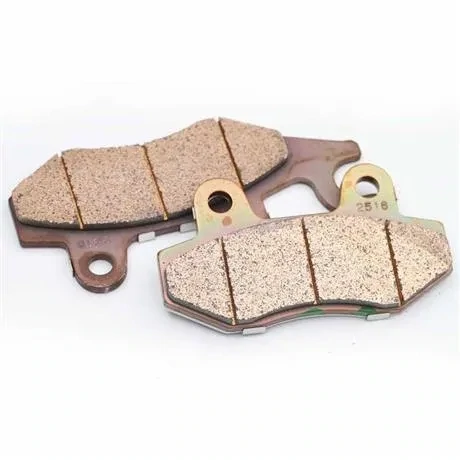 Triumph Brake Pad Set - T2025045