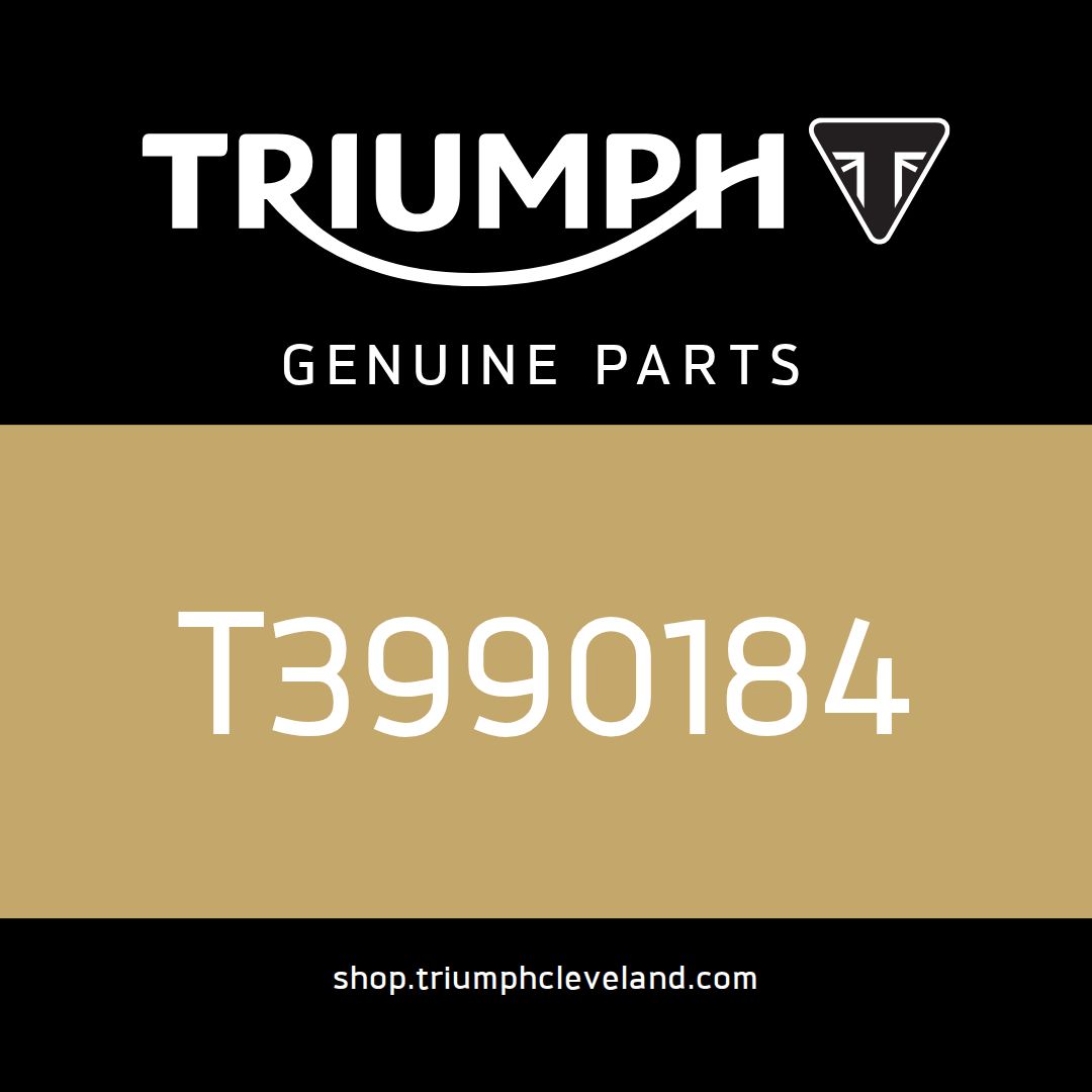 Triumph OEM Engine Service Kit - T3990184