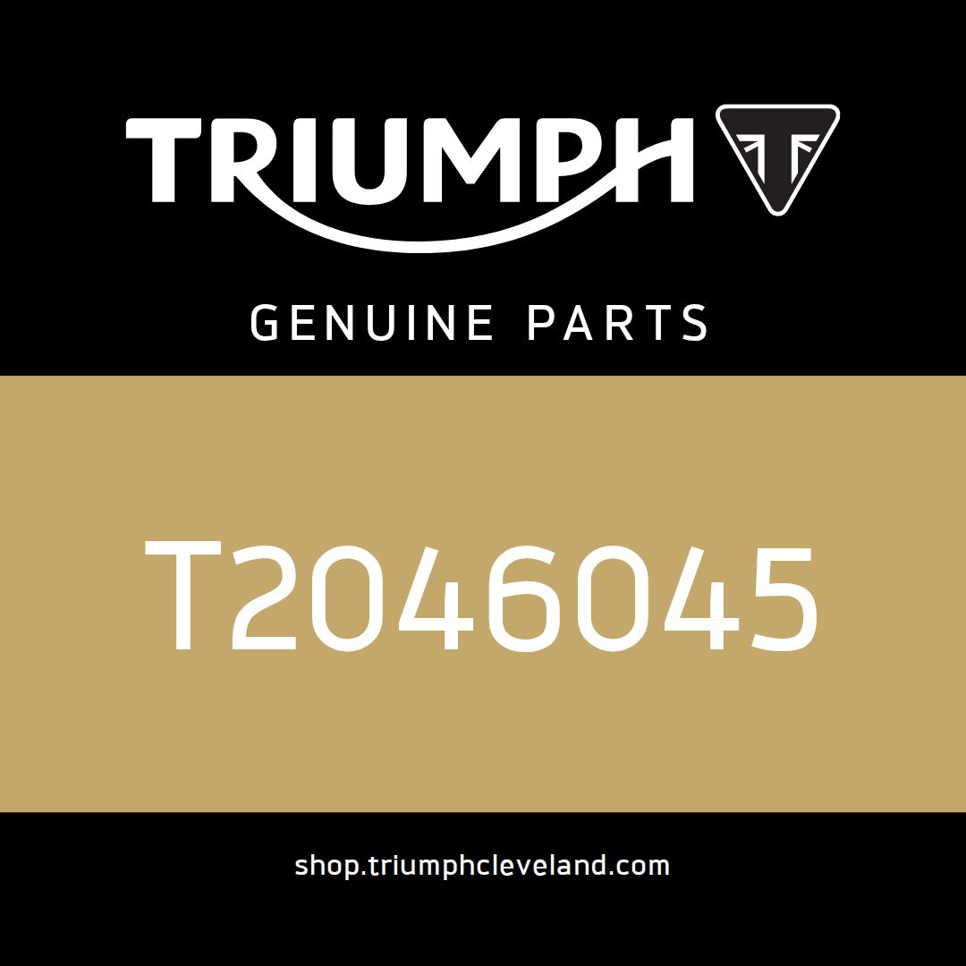 Triumph OEM Clutch Lever, Adjustable - T2046045