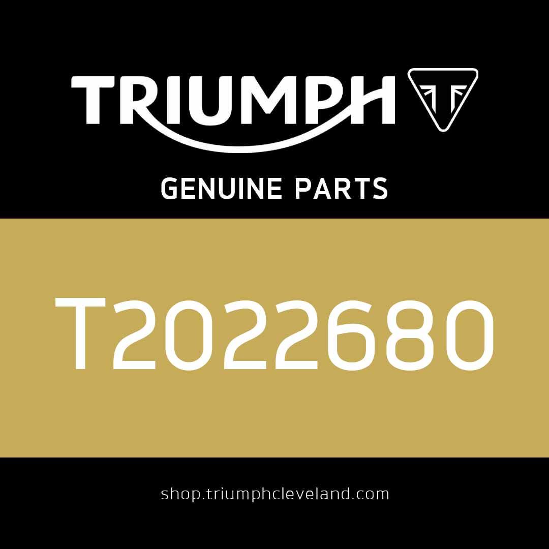 Triumph OEM Rear Brake Pads - T2022680