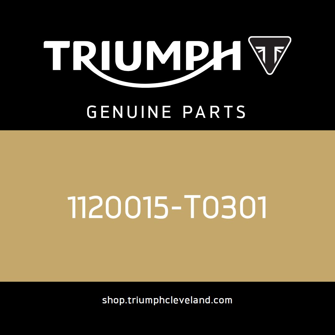 Triumph OEM Circlip, Piston - 1120015-T0301