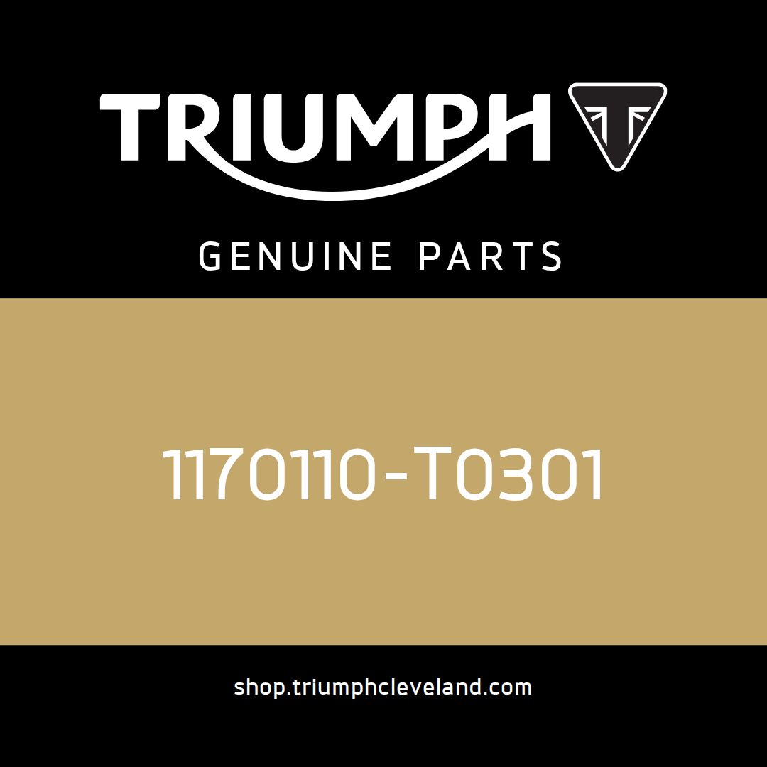 Triumph OEM Slave Cylinder - 1170110-T0301