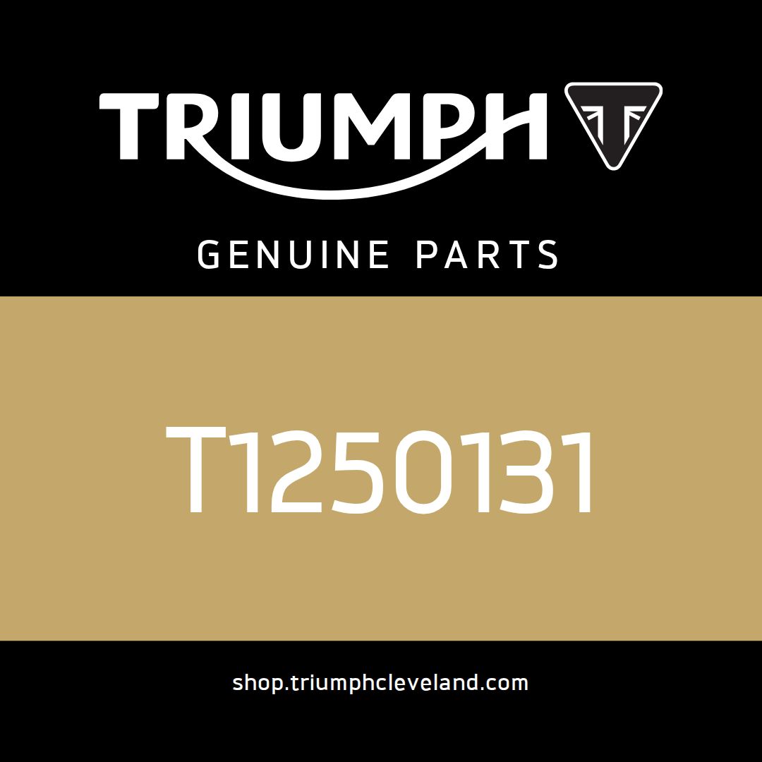 Triumph OEM SAI Hose, Airbox - T1250131