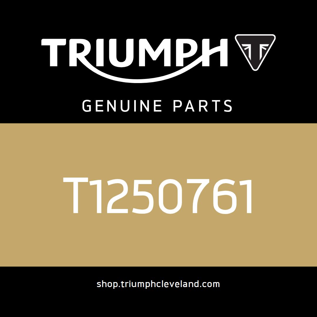 Triumph OEM Bracket, Clamp - T1250761