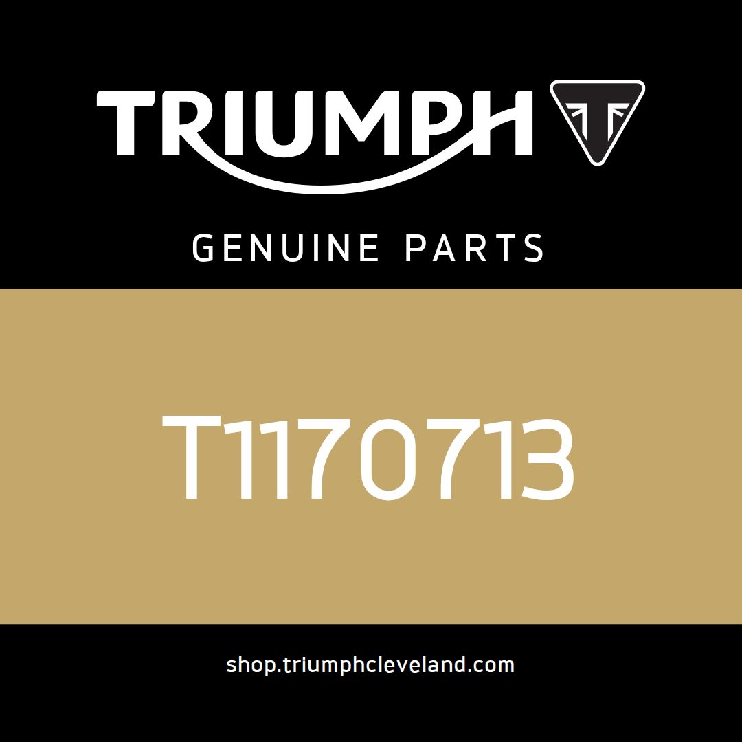 Triumph OEM Disc, Friction, Clutch, A - T1170713