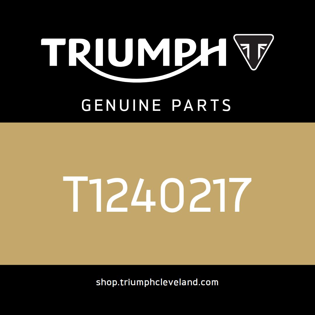 Triumph OEM Bracket, Carbon Canister - T1240217