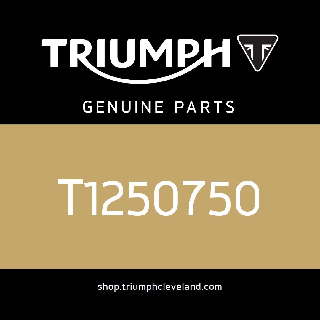 Triumph OEM Hose, SAI - T1250750