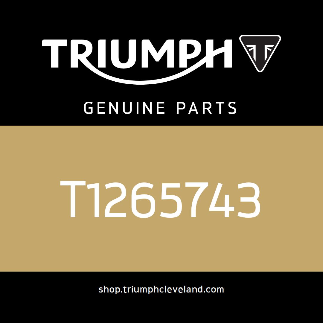 Triumph OEM Bracket, Alternator Cable Guide - T1265743