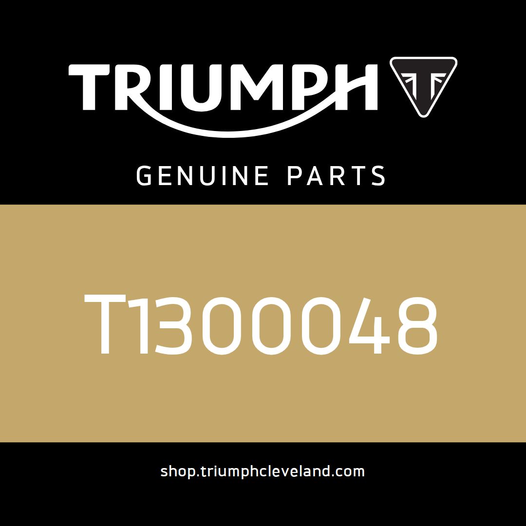 Triumph OEM Regulator Bracket - T1300048