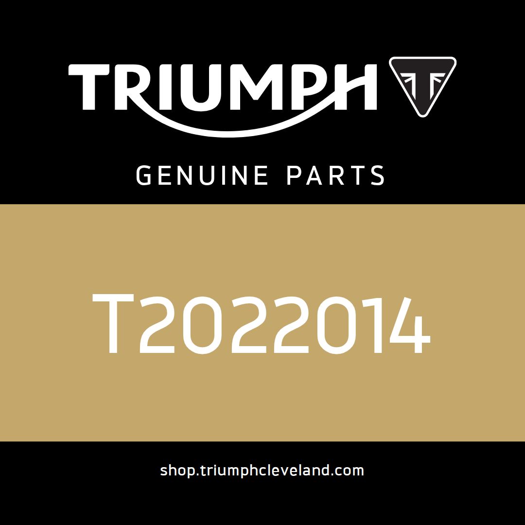 Triumph OEM Bracket, ABS Modulator - T2022014