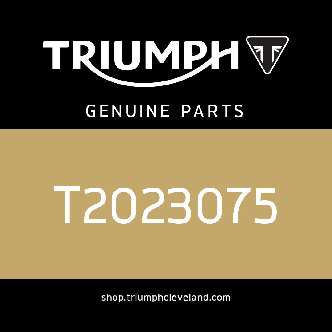 Triumph OEM Brake Pedal - T2023075