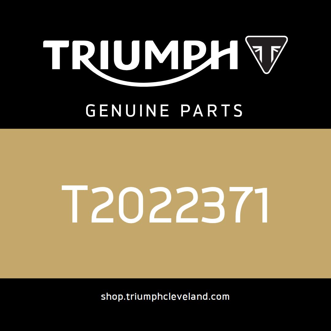 Triumph OEM SPDT, Microswitch - T2022371