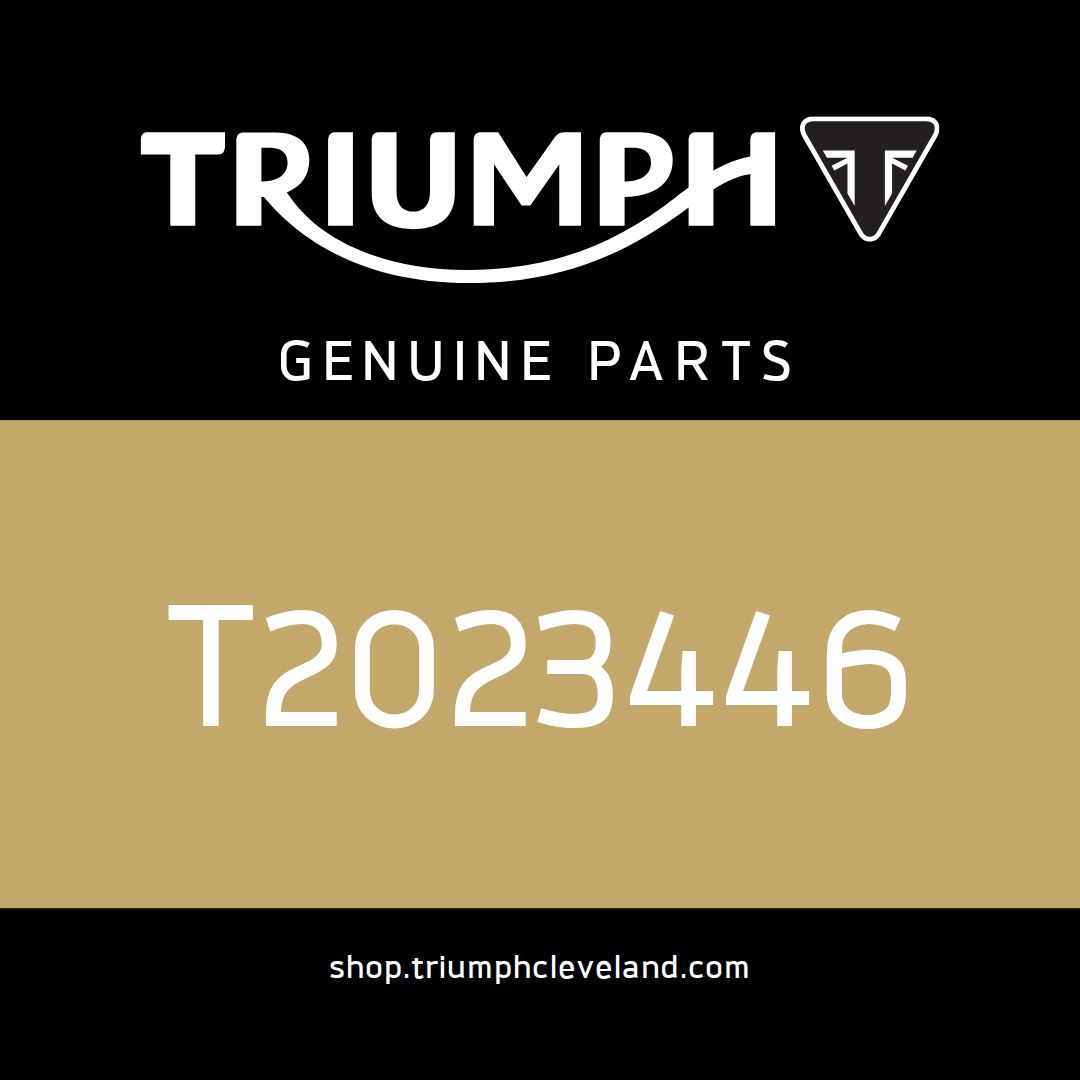 Triumph OEM Brake Line, M/Cyl to Modulator, Rear - T2023446