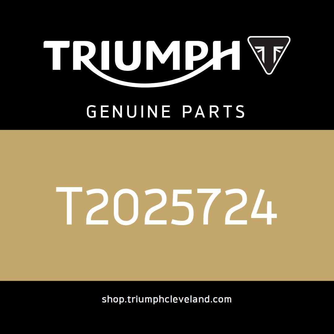 Triumph OEM ABS Modulator, Wet - T2025724