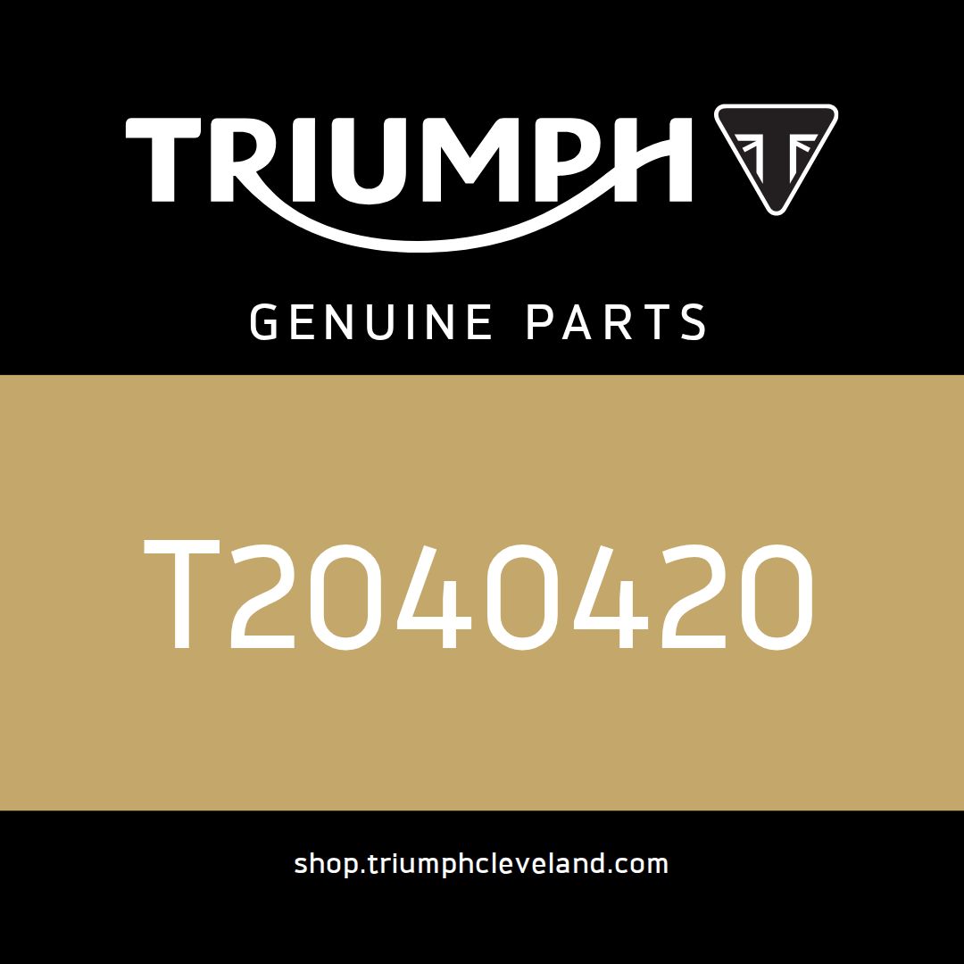 Triumph OEM O Ring - T2040420