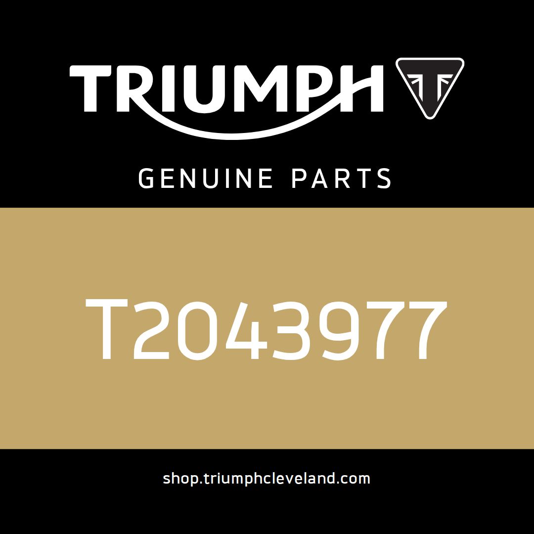 Triumph OEM Fork Stanchion Assy, RH - T2043977