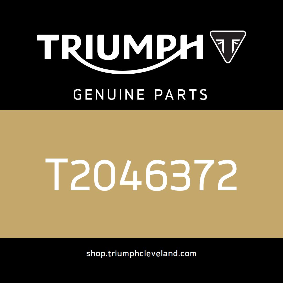 Triumph OEM Spring - T2046372