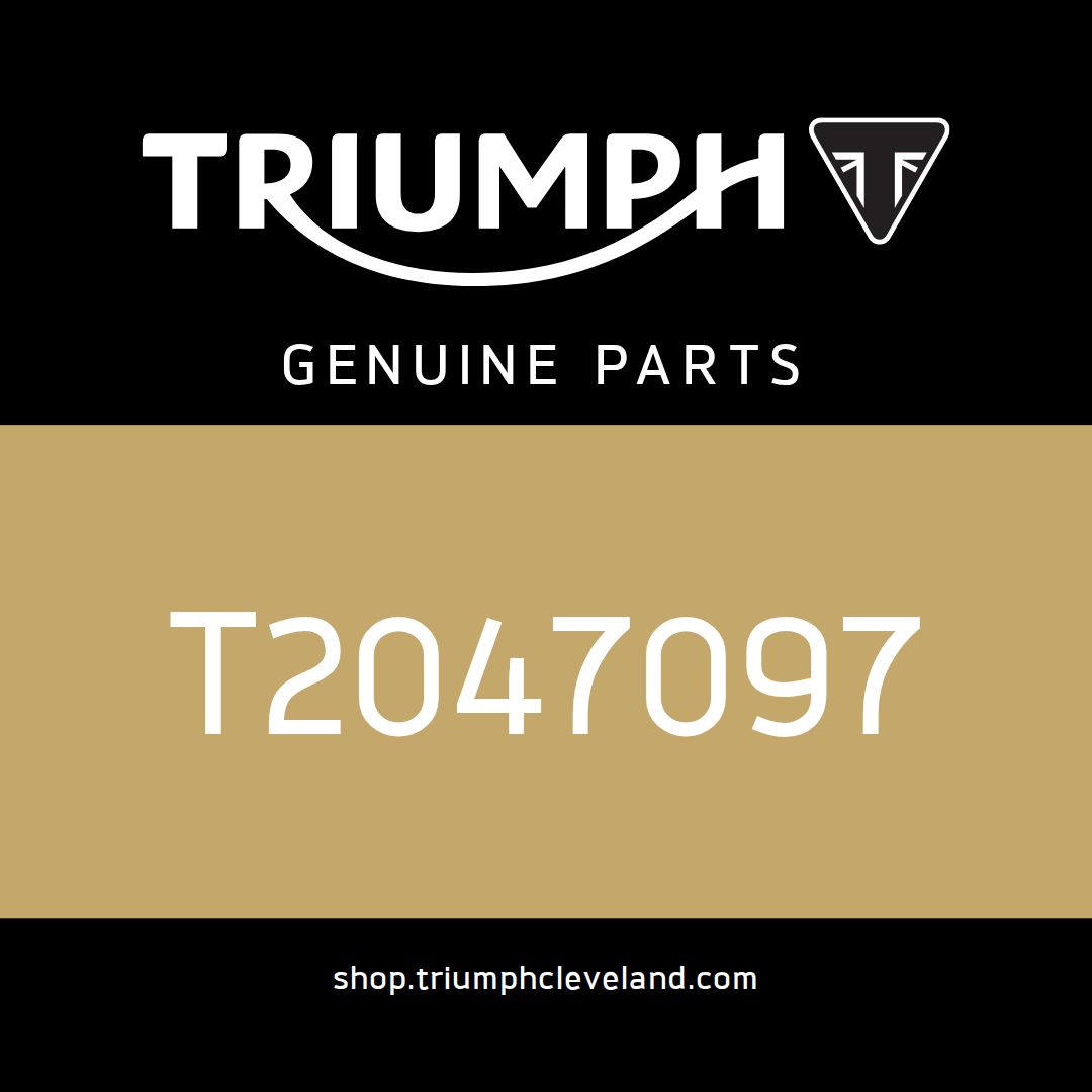 Triumph OEM Stanchion Assy, RH - T2047097