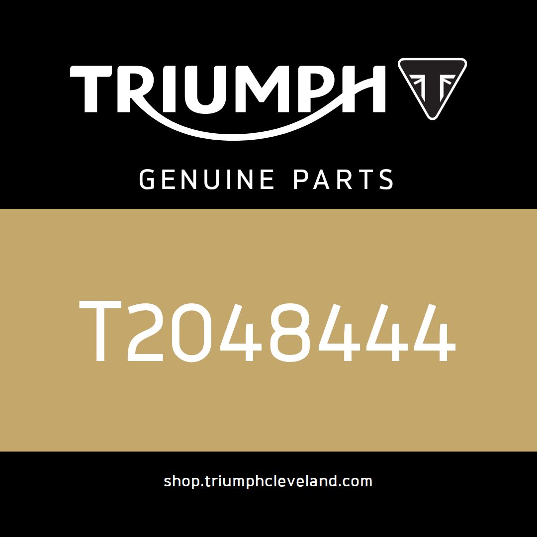 Triumph OEM Fork Assembly, LH - T2048444